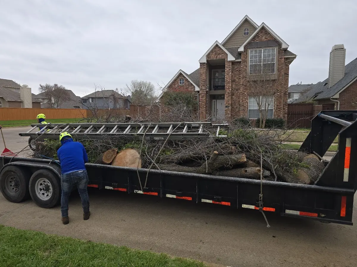Expert Tree Fertilization with proper safety equipment in Holly Springs